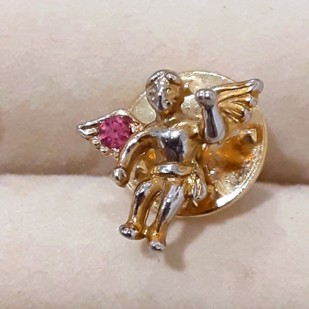 Beautiful Angel Pin